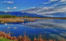 Pond at refuge