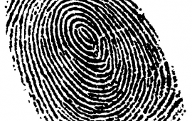 Picture of thumb print