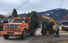 Public Works Crews removing tree branches