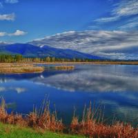 Pond at refuge