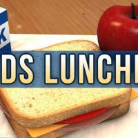 kids lunches