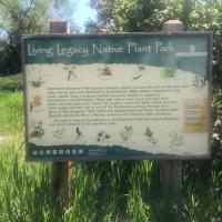 Legacy Park