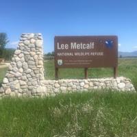 Lee Metcalf Wildlife Refuge