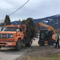 Public Works Crews removing tree branches