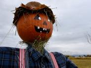 pumpkin scarecrow