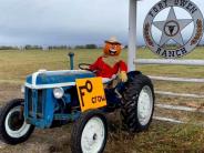 tractor scarecrow