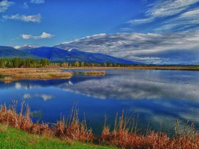 Pond at refuge