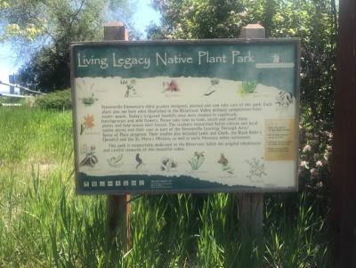 Legacy Park