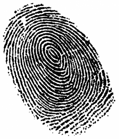 Picture of thumb print