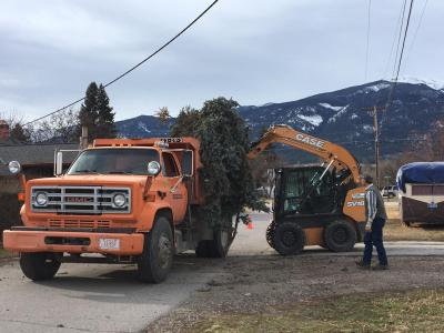 Public Works Crews removing tree branches