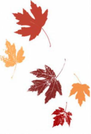 LEAVES