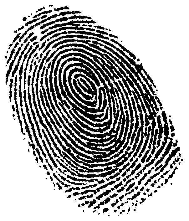 Fingerprinting Stevensville Montana